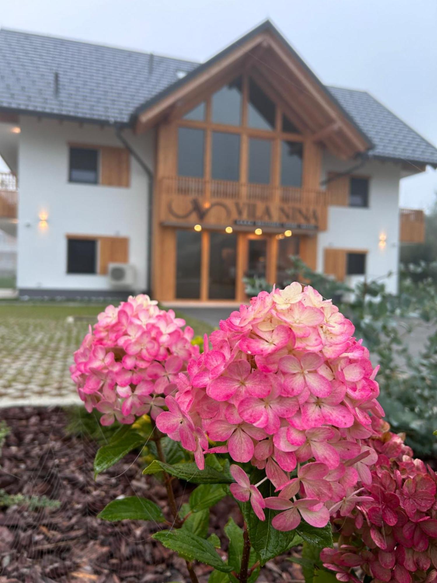Vila Nina Бохінь Екстер'єр фото